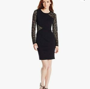 Women's Lace Inset Dress